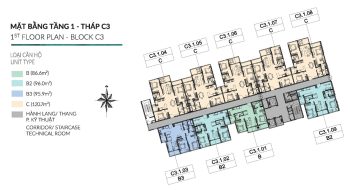 Mặt bằng tầng 1 khối C3 Diamond Centery Celadon City